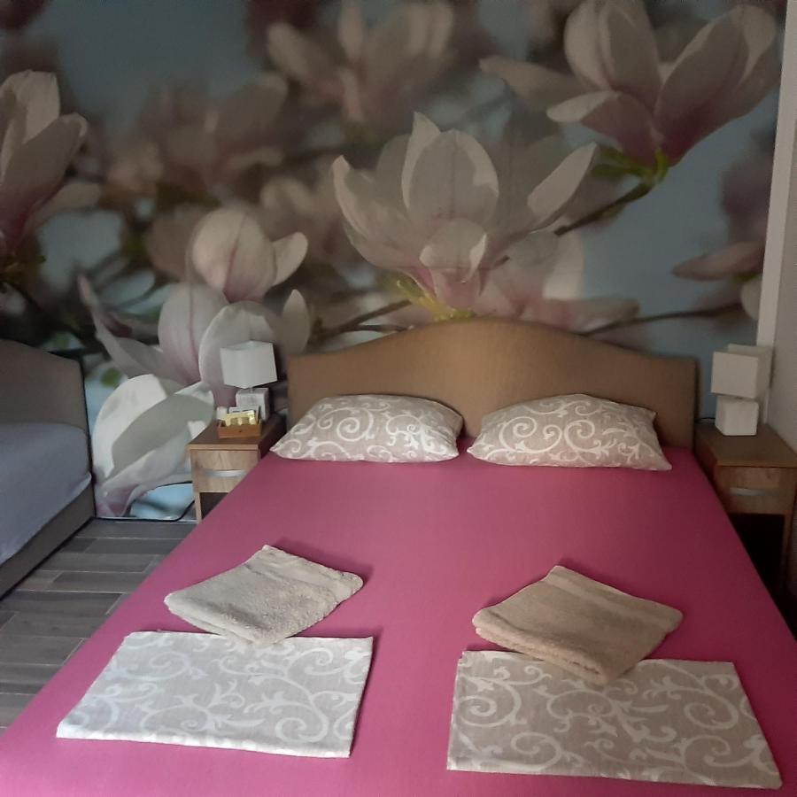 Vicky 1 Apartman Kotor Kültér fotó