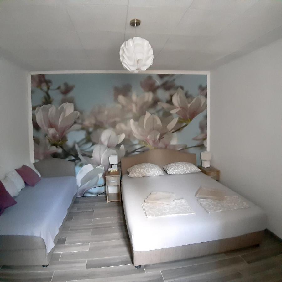 Vicky 1 Apartman Kotor Kültér fotó