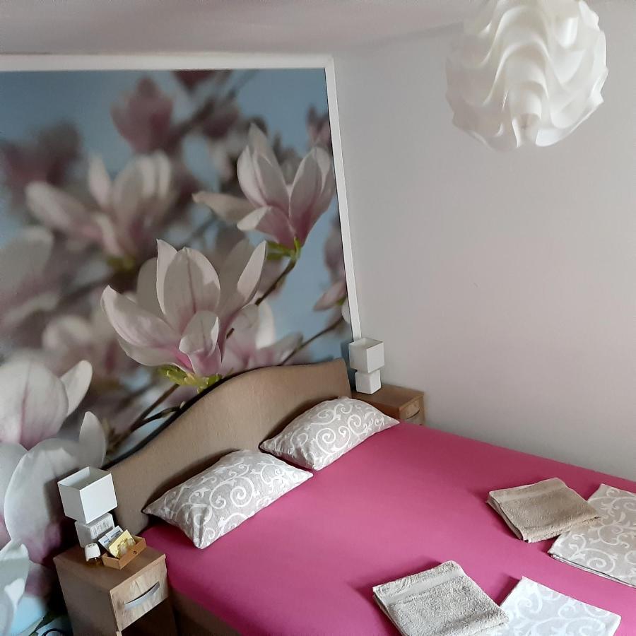 Vicky 1 Apartman Kotor Kültér fotó
